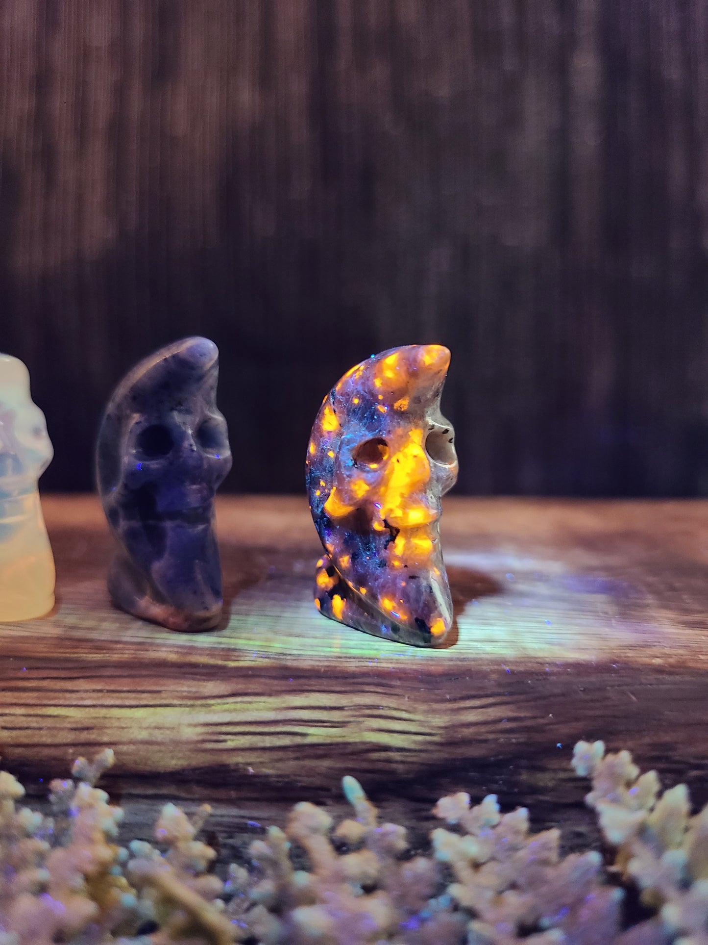 Mini Skull / Man in the Moon Carvings