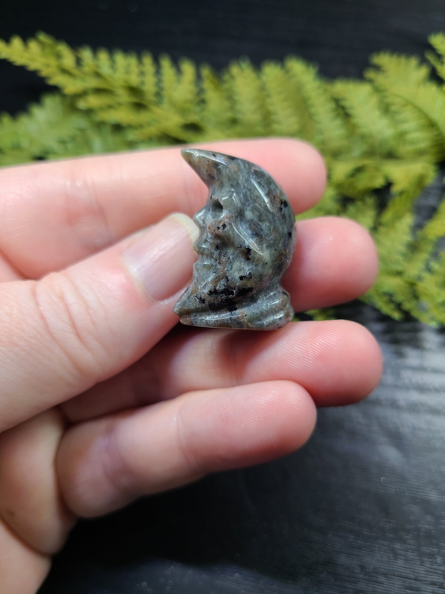 Mini Skull / Man in the Moon Carvings