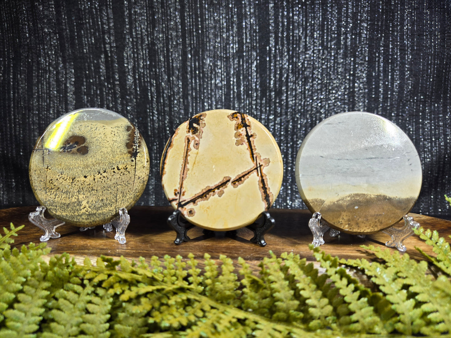 Picture Jasper Small Disks