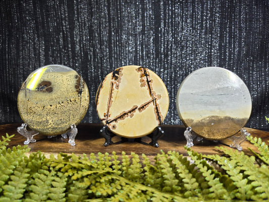 Picture Jasper Small Disks