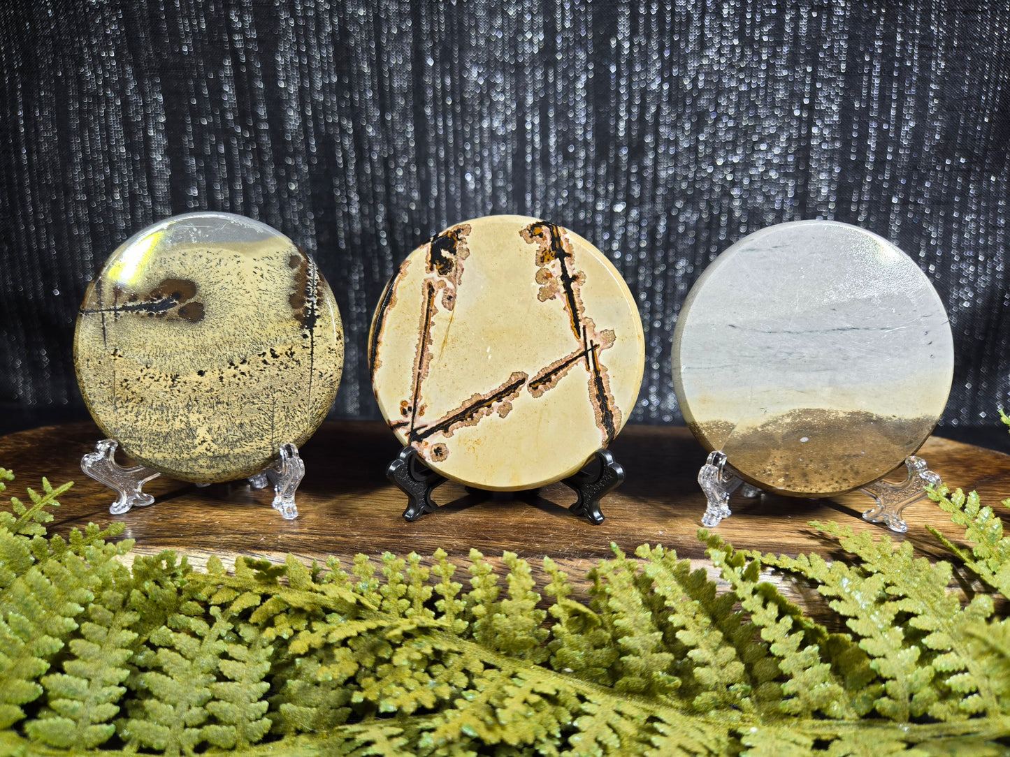 Picture Jasper Small Disks