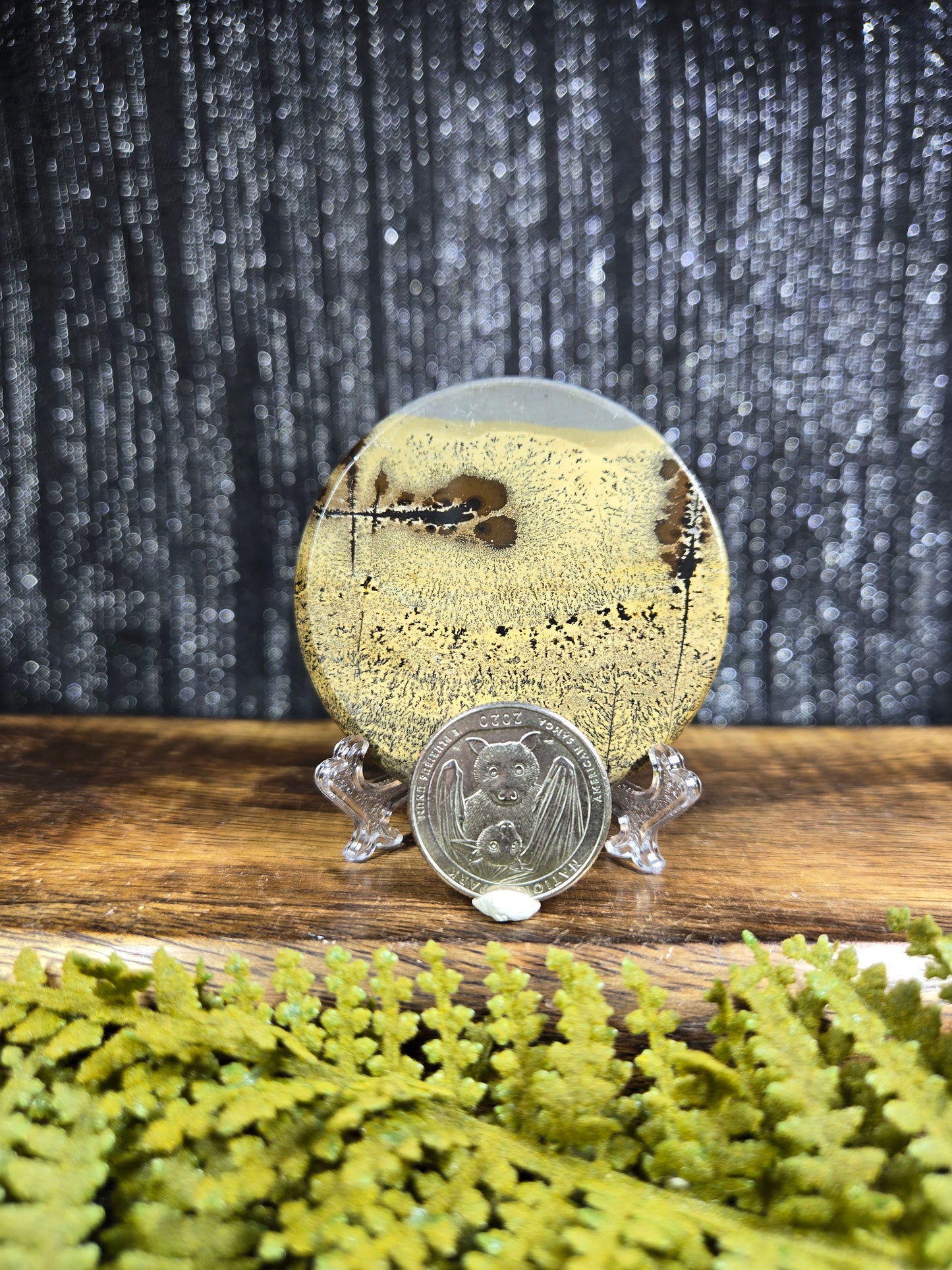 Picture Jasper Small Disks