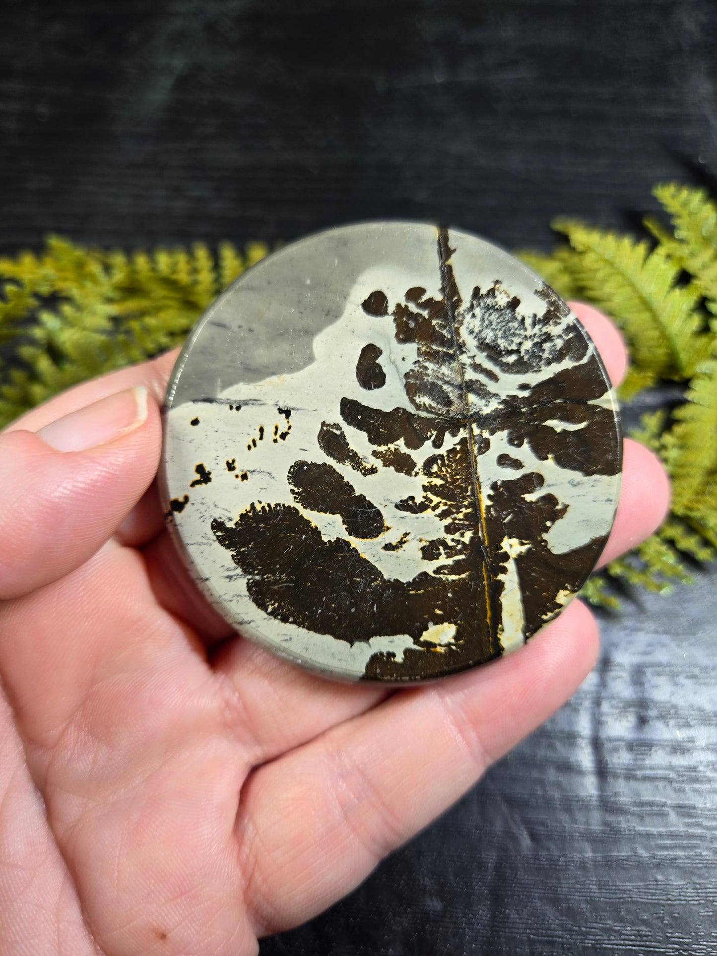 Picture Jasper Small Disks