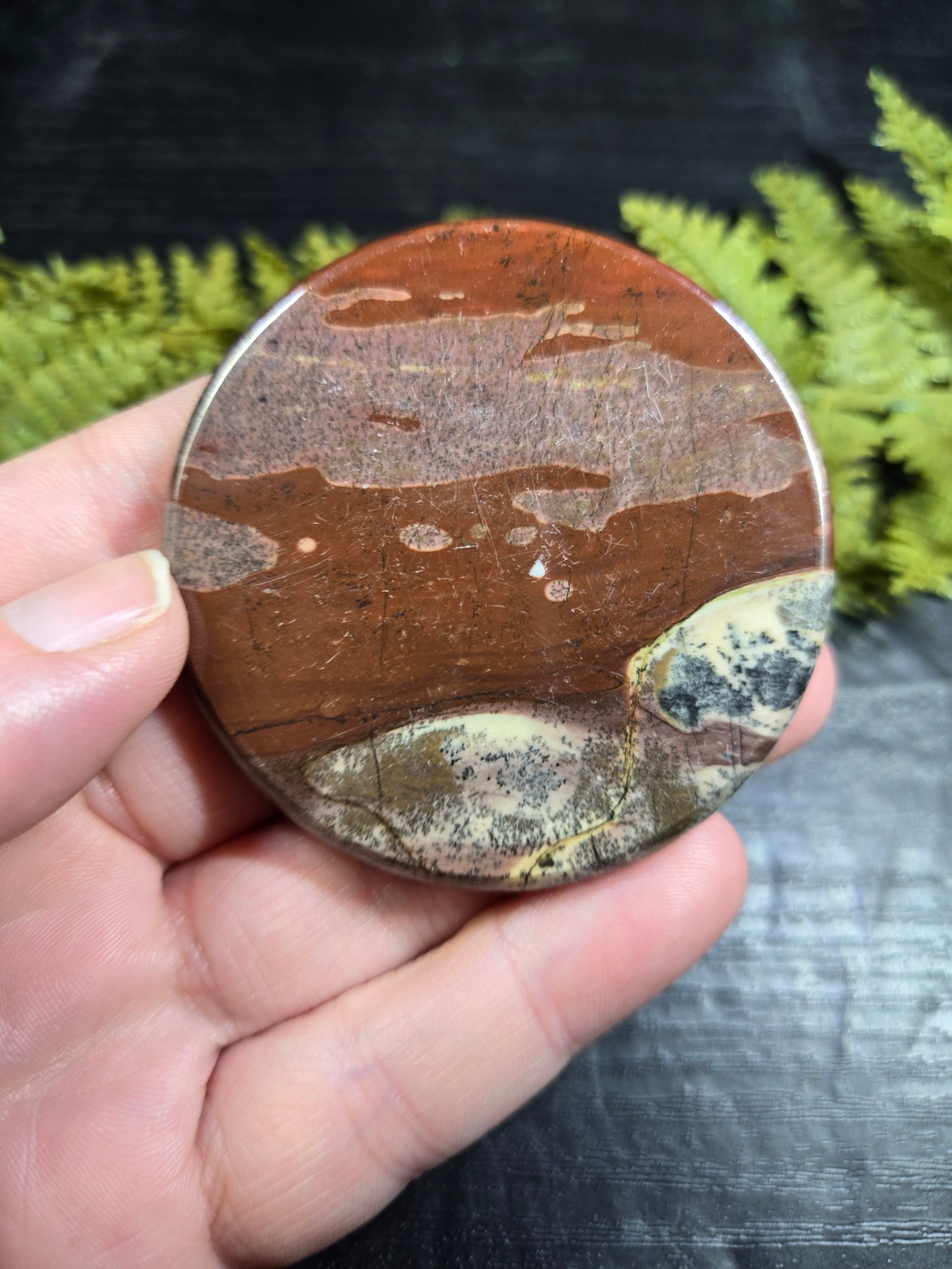 Picture Jasper Small Disks