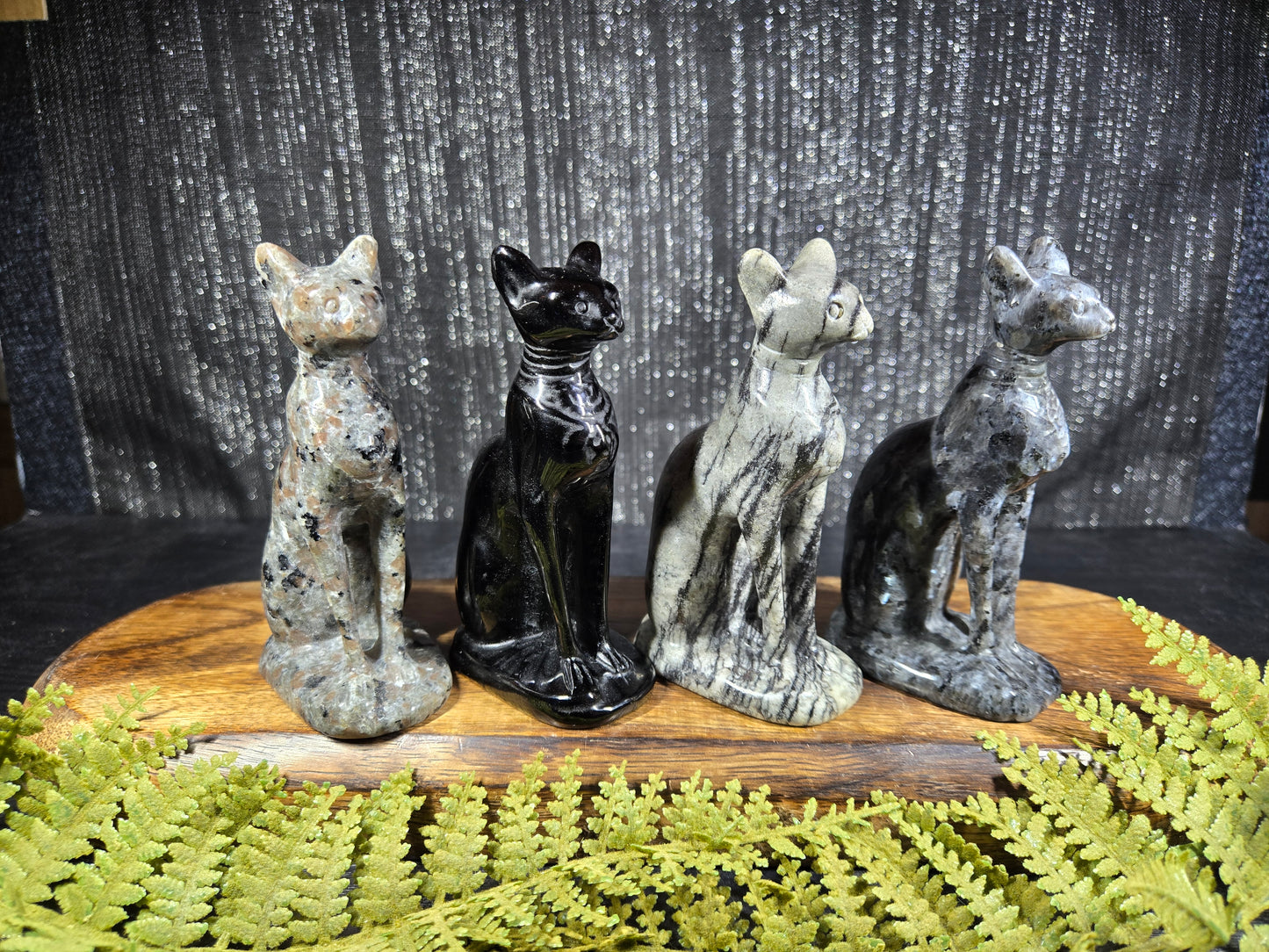 Large Egyptian / Sphynx Cats