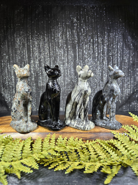 Large Egyptian / Sphynx Cats