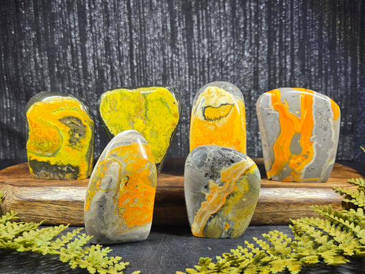 Bumblebee Jasper Freeforms