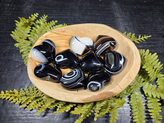 Black Tuxedo / Silk Agate Hearts