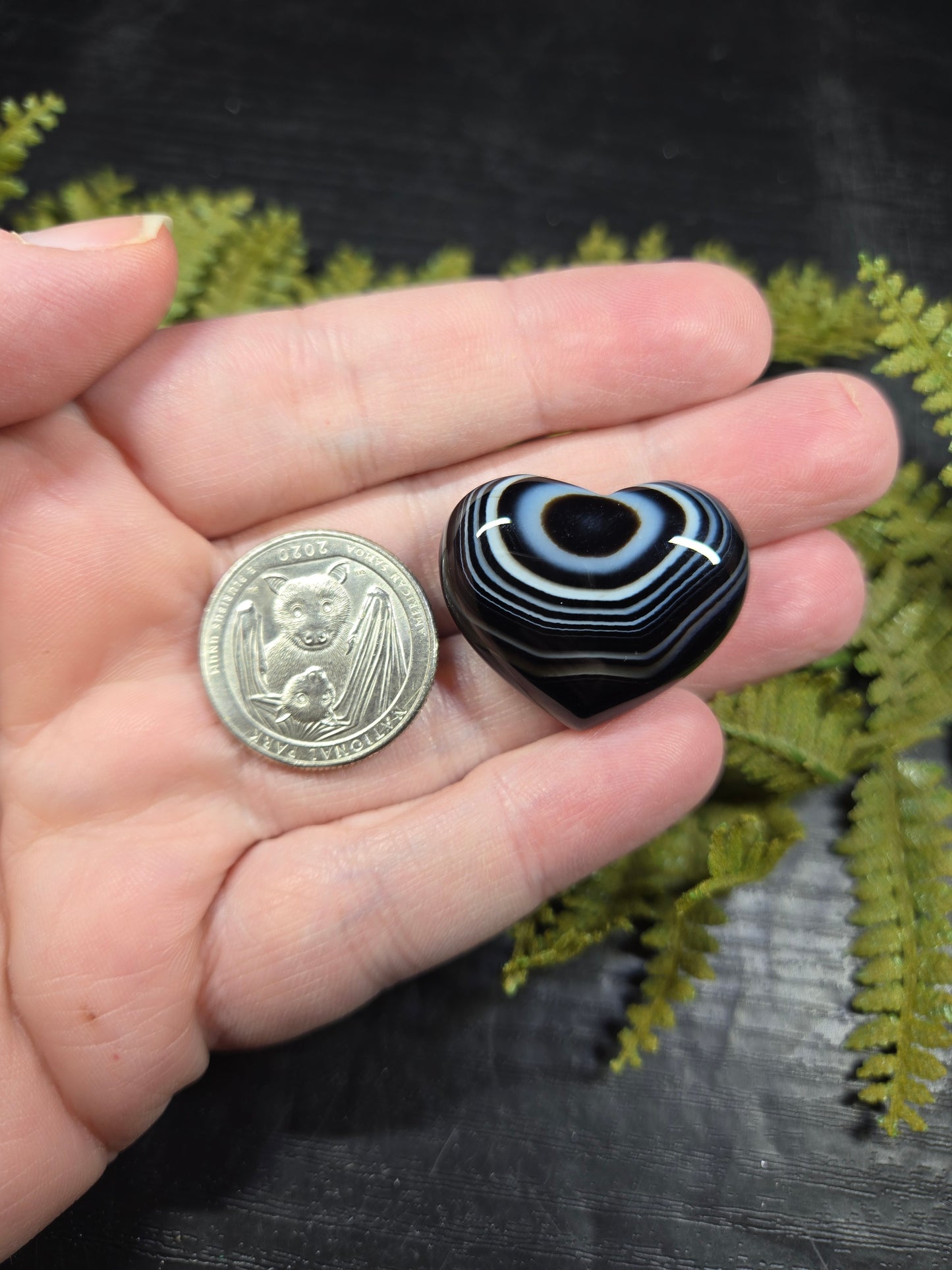 Black Tuxedo / Silk Agate Hearts