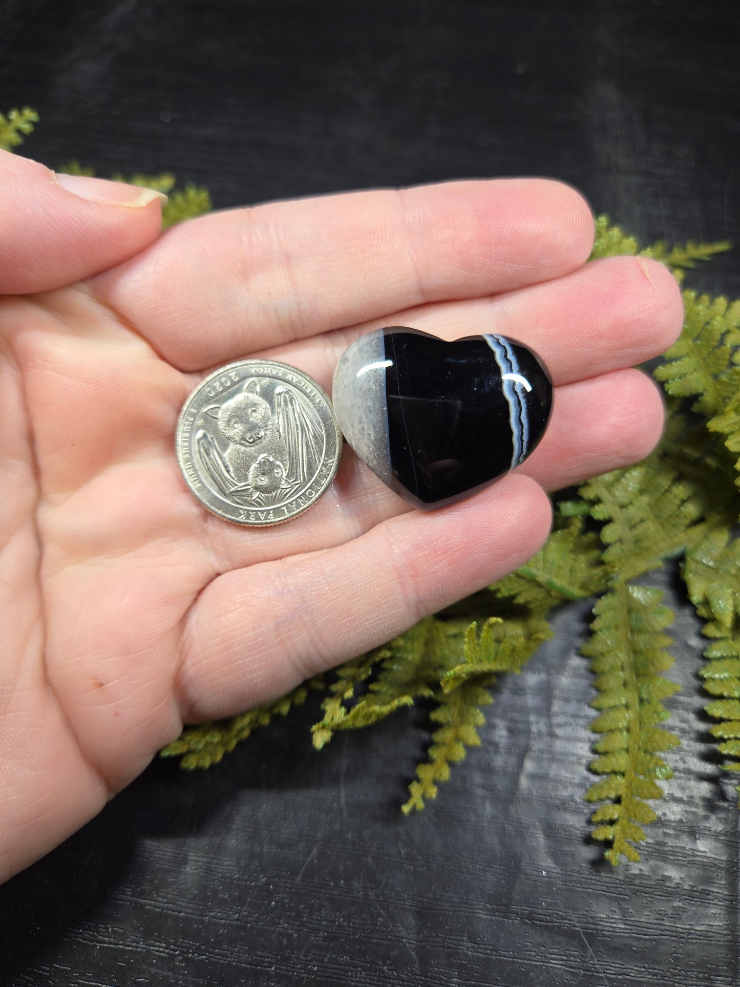 Black Tuxedo / Silk Agate Hearts