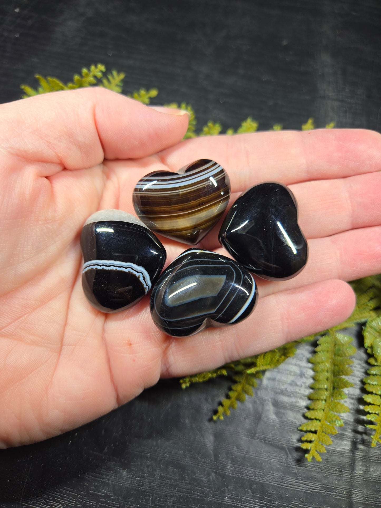 Black Tuxedo / Silk Agate Hearts