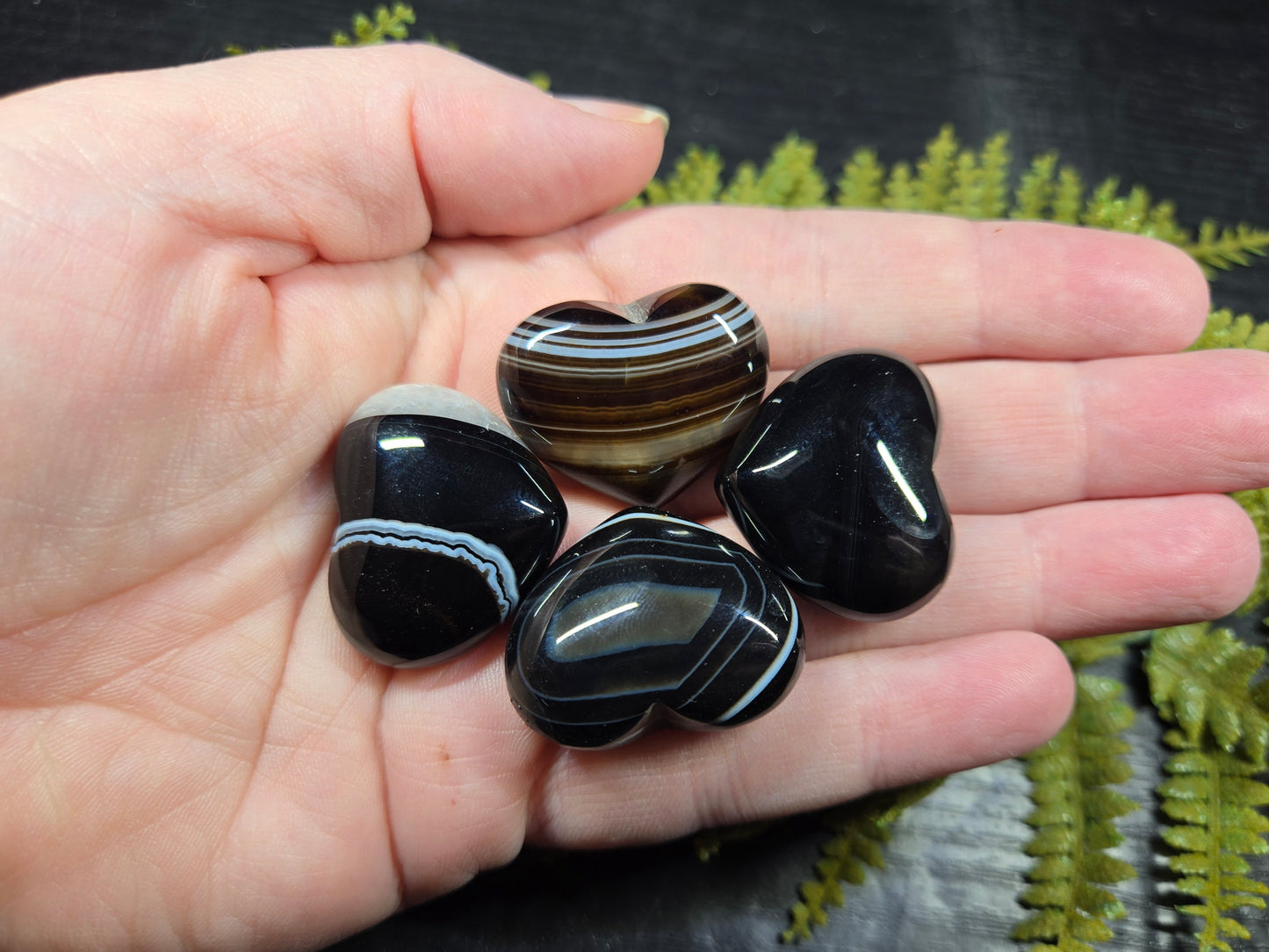 Black Tuxedo / Silk Agate Hearts