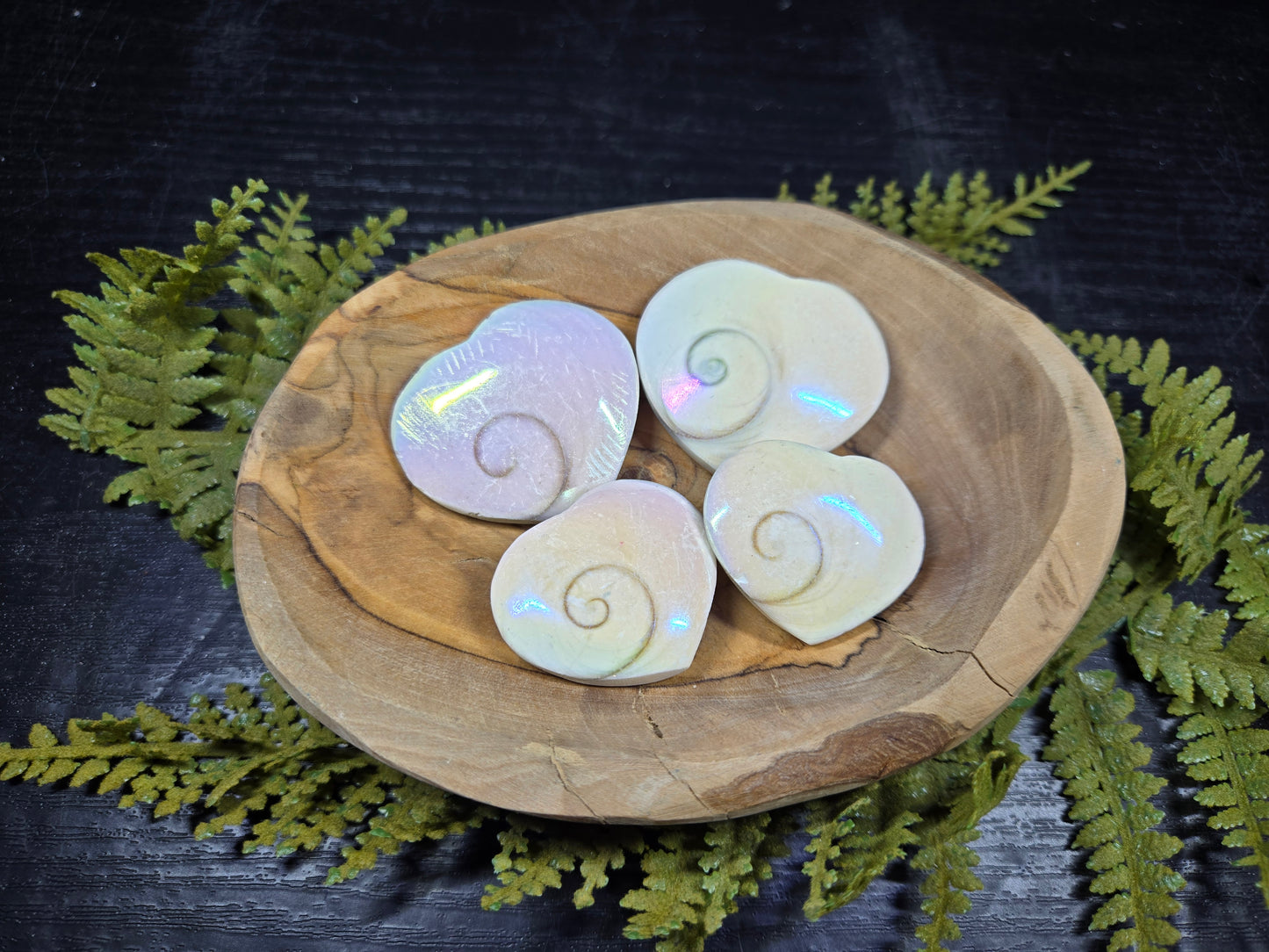 Aura Heart Shaped Shiva Shells