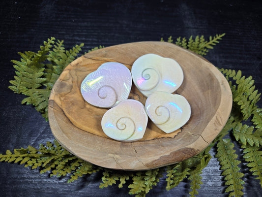Aura Heart Shaped Shiva Shells