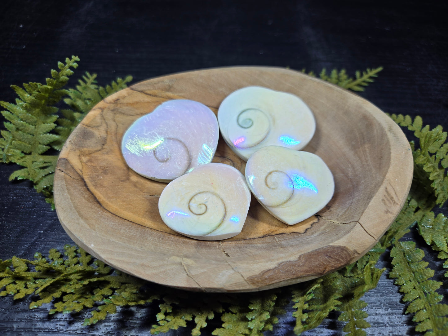 Aura Heart Shaped Shiva Shells