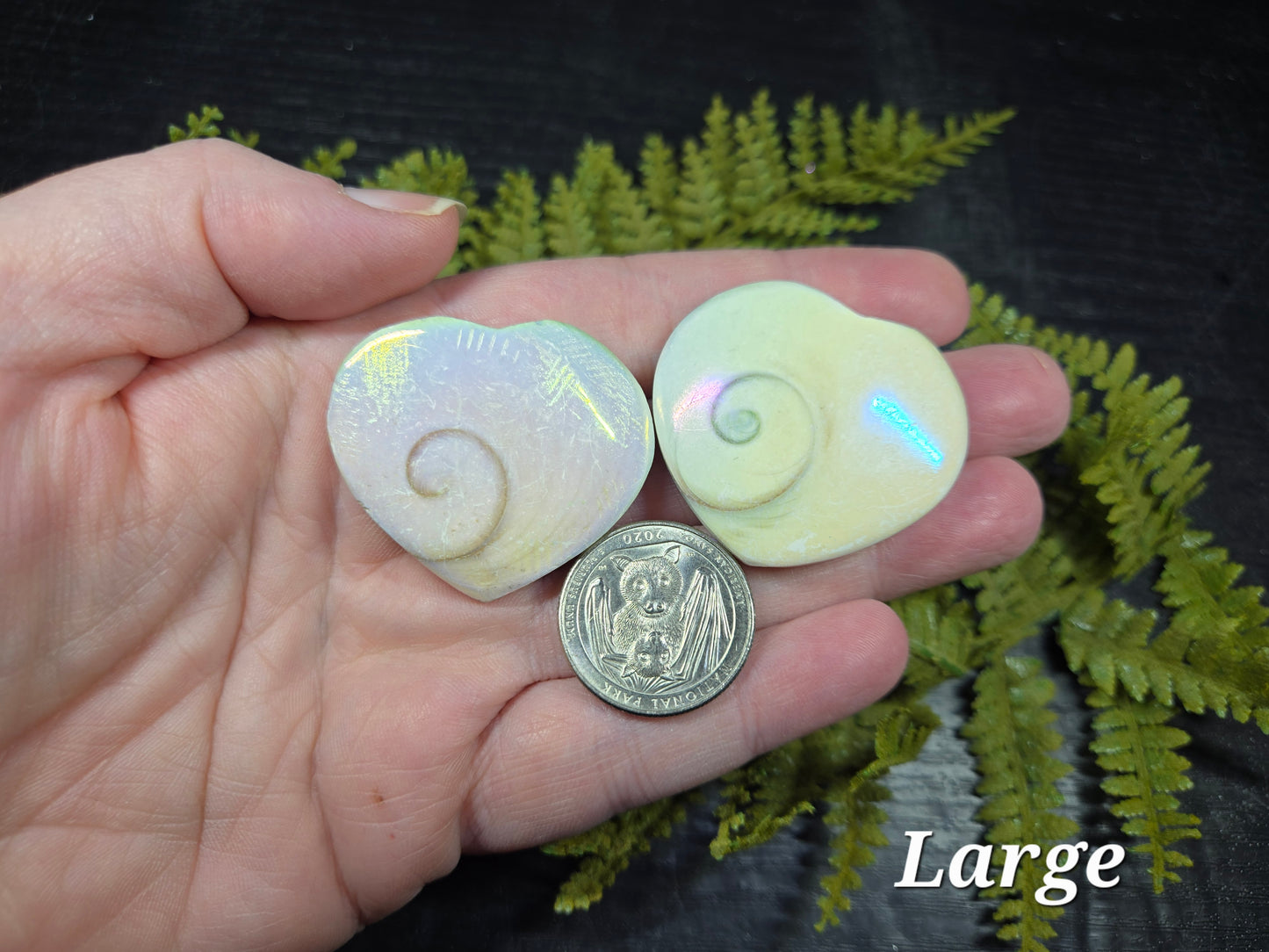 Aura Heart Shaped Shiva Shells