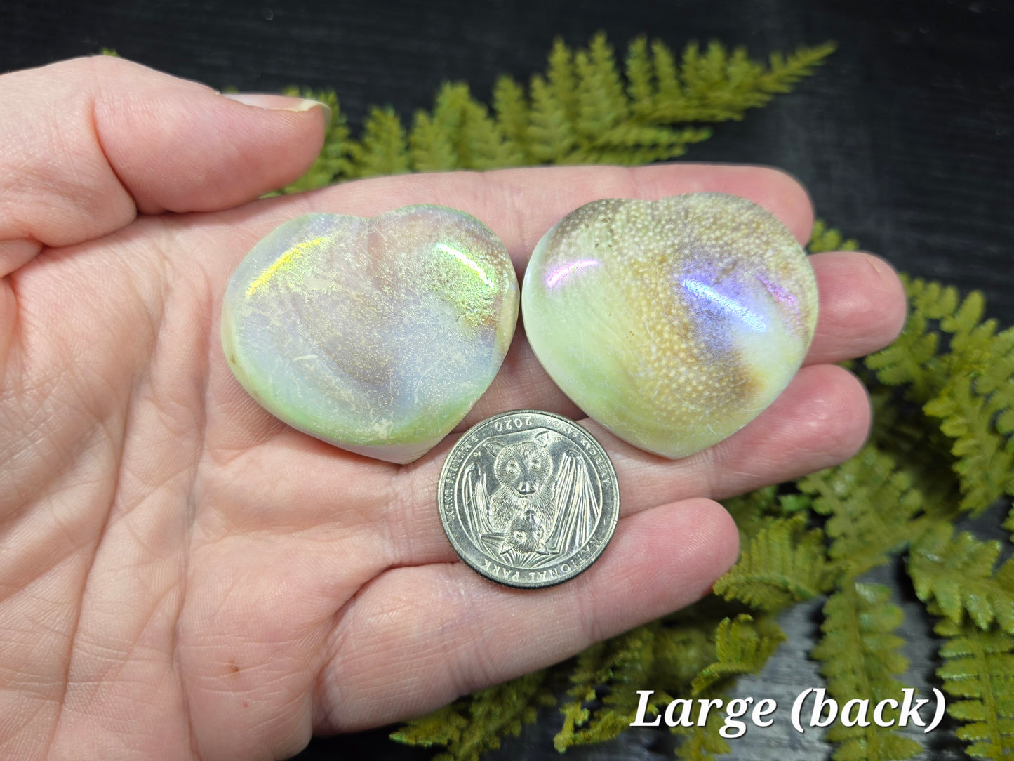 Aura Heart Shaped Shiva Shells