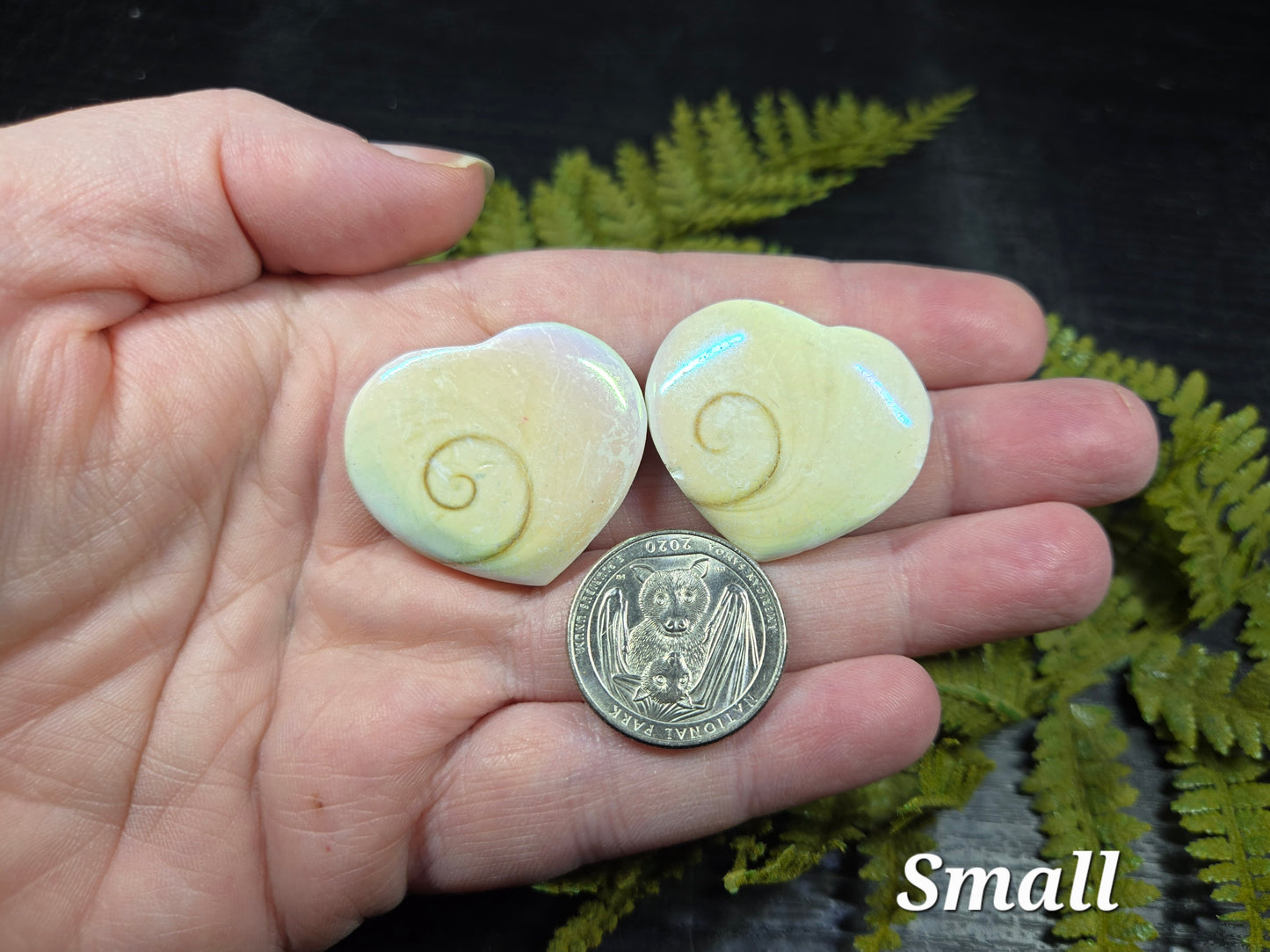 Aura Heart Shaped Shiva Shells