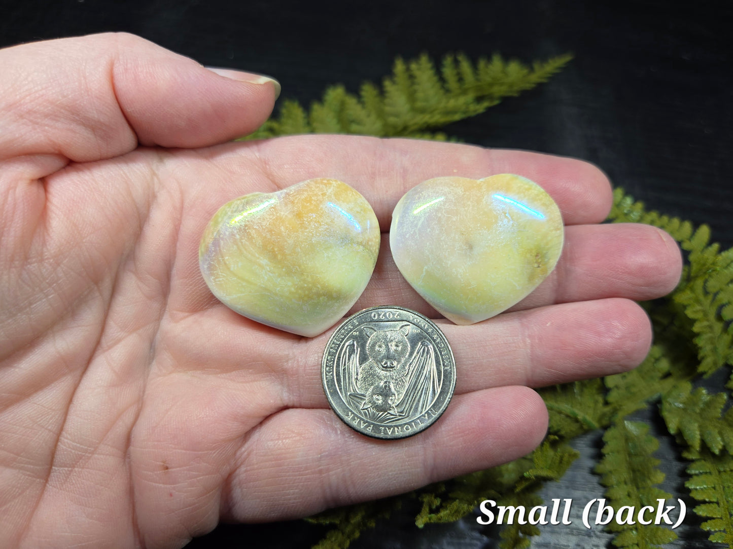 Aura Heart Shaped Shiva Shells