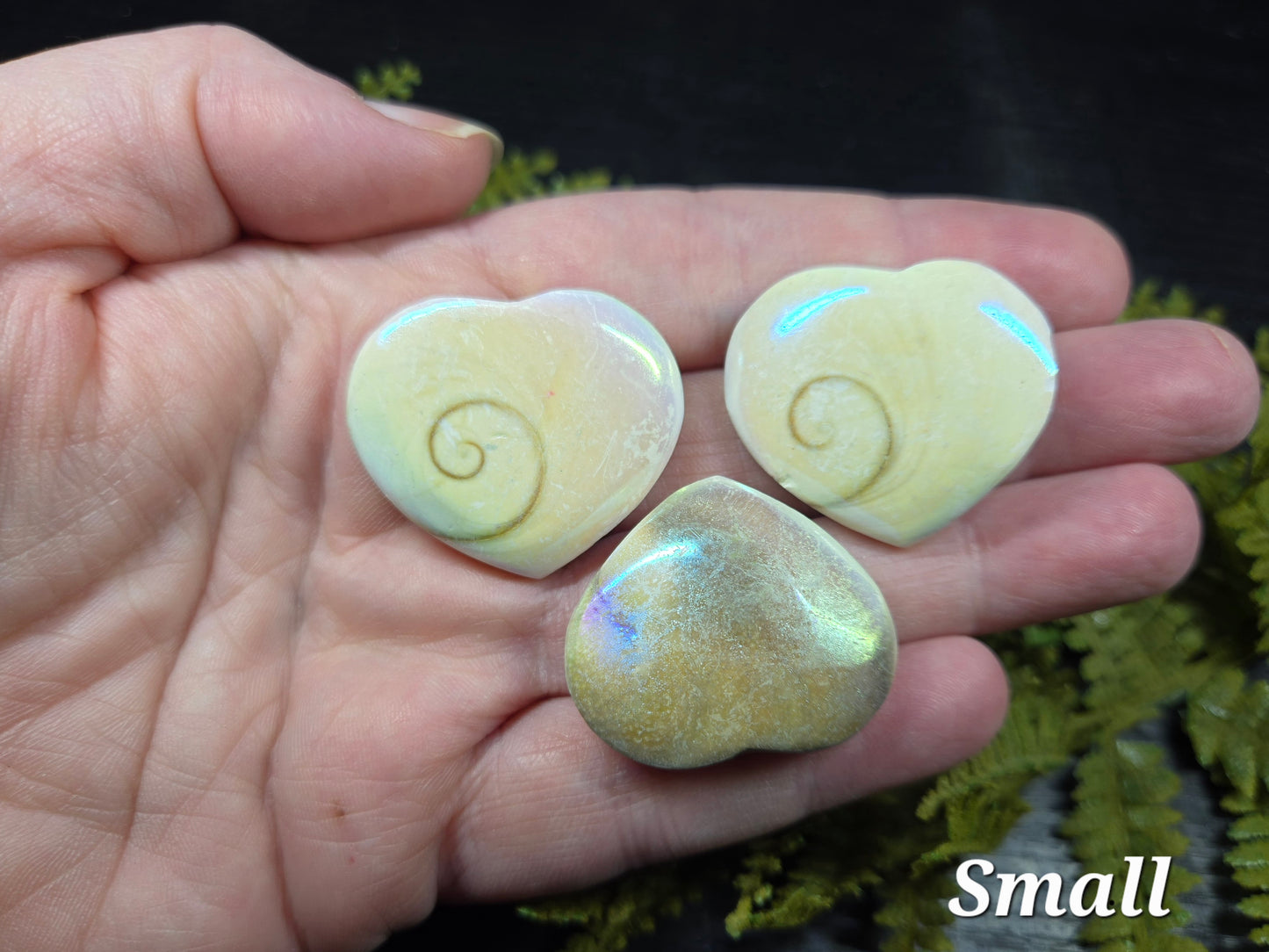 Aura Heart Shaped Shiva Shells