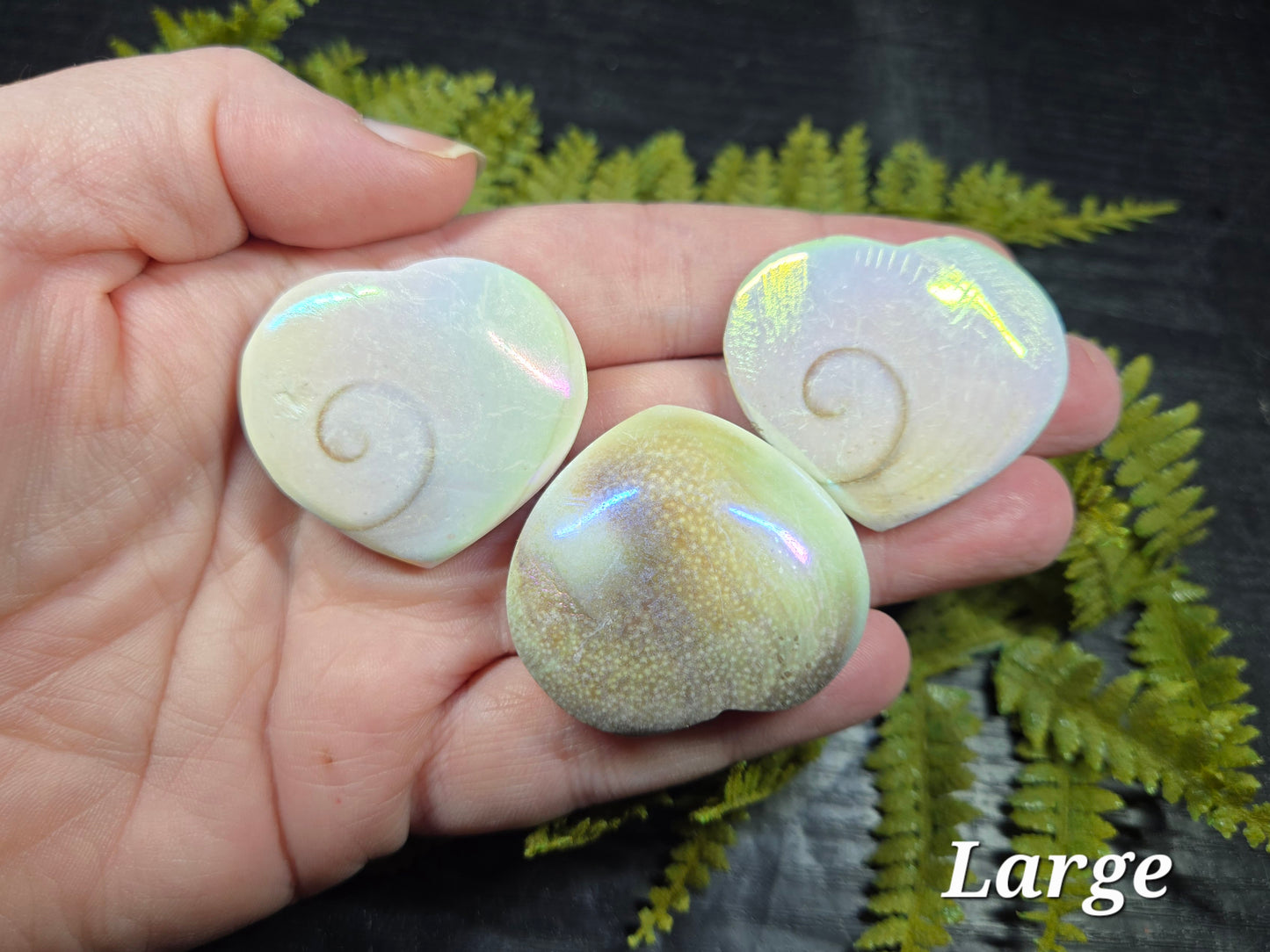 Aura Heart Shaped Shiva Shells
