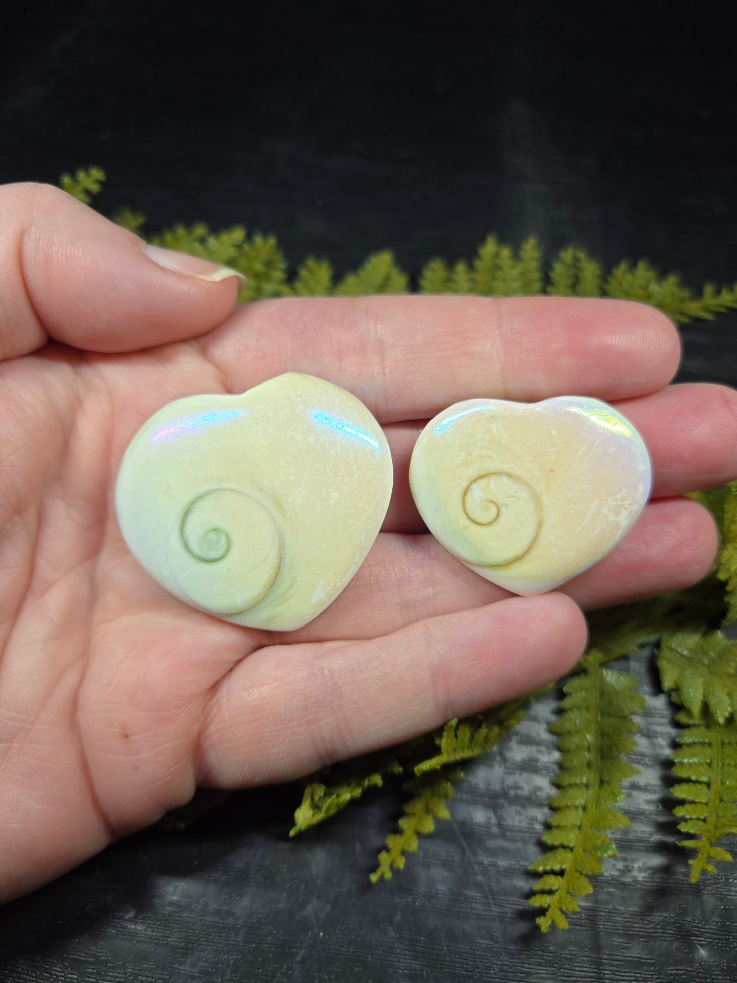 Aura Heart Shaped Shiva Shells