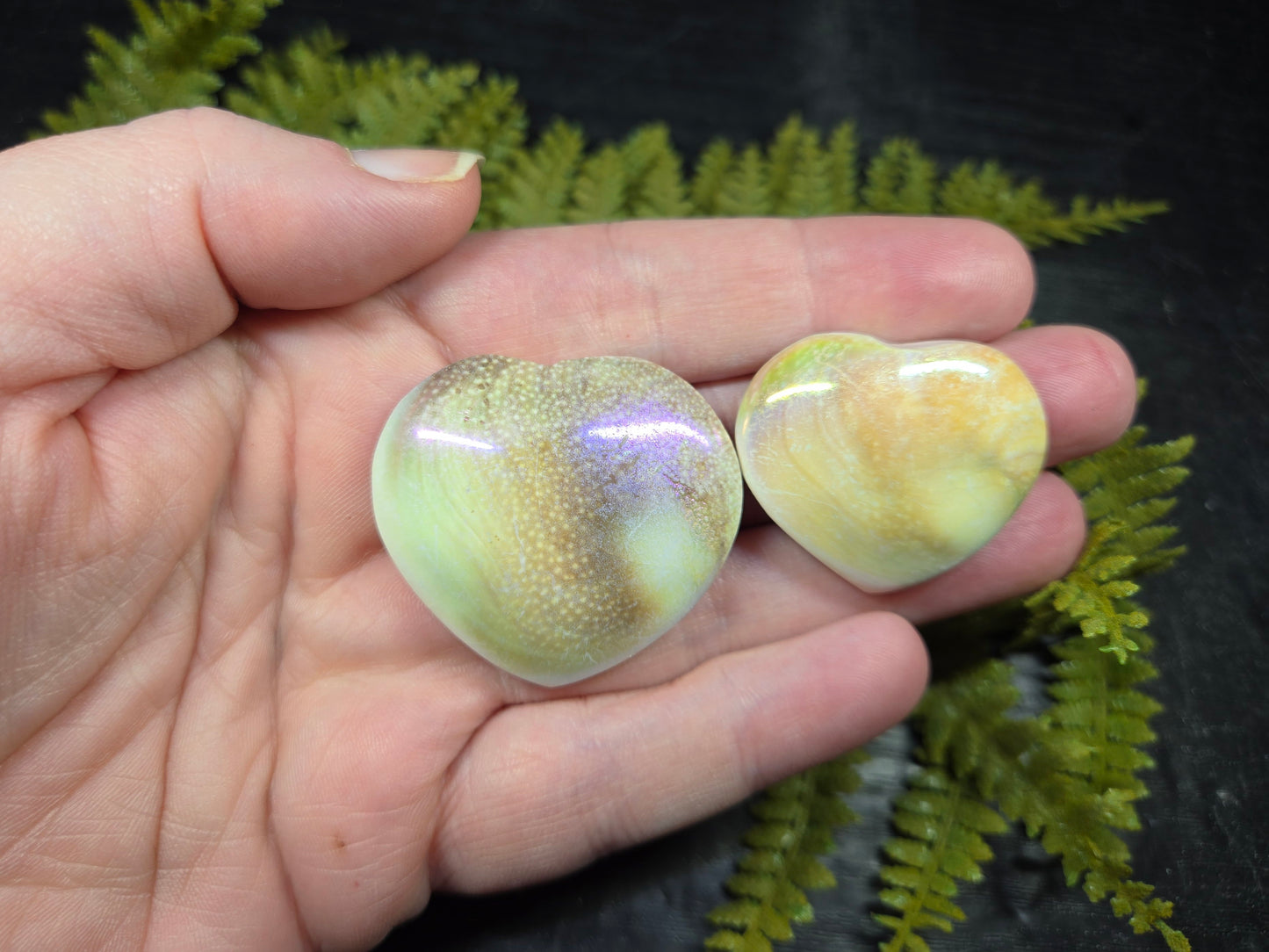 Aura Heart Shaped Shiva Shells