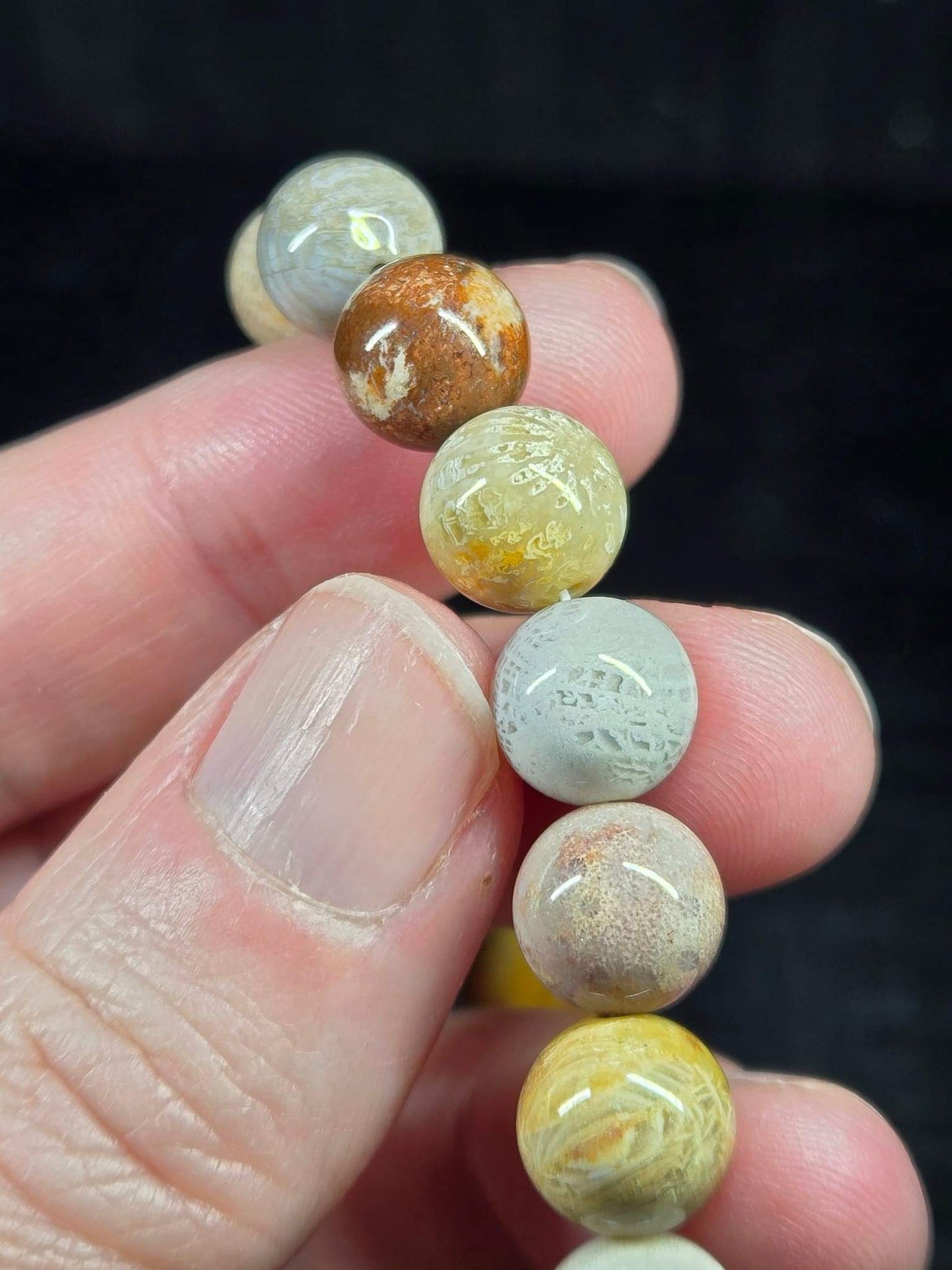 Agatized Fossil Coral Bracelets