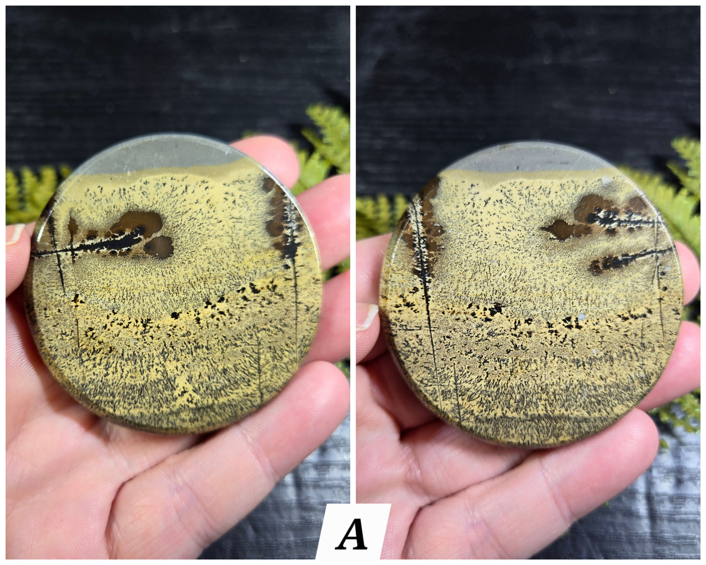 Picture Jasper Small Disks