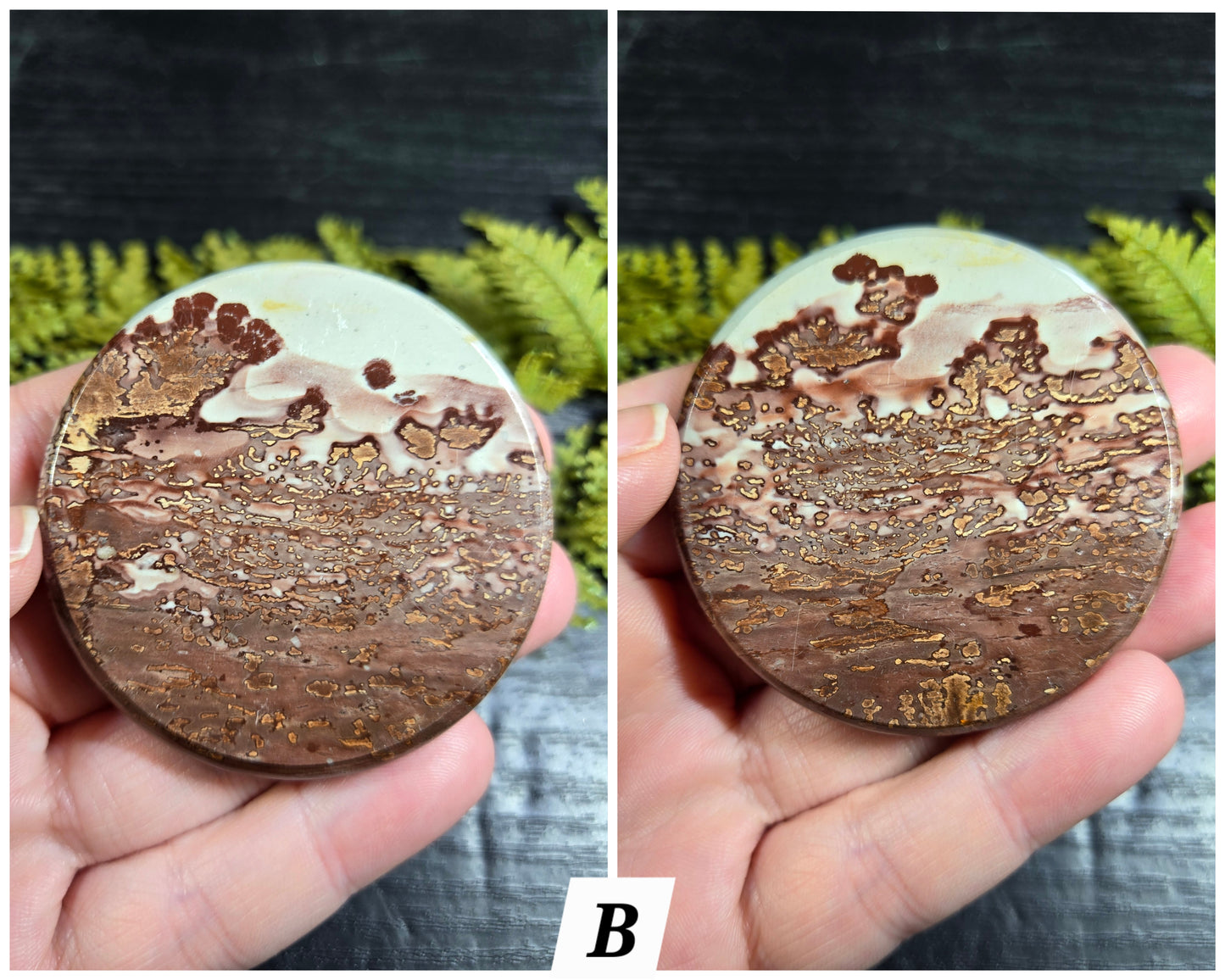 Picture Jasper Small Disks