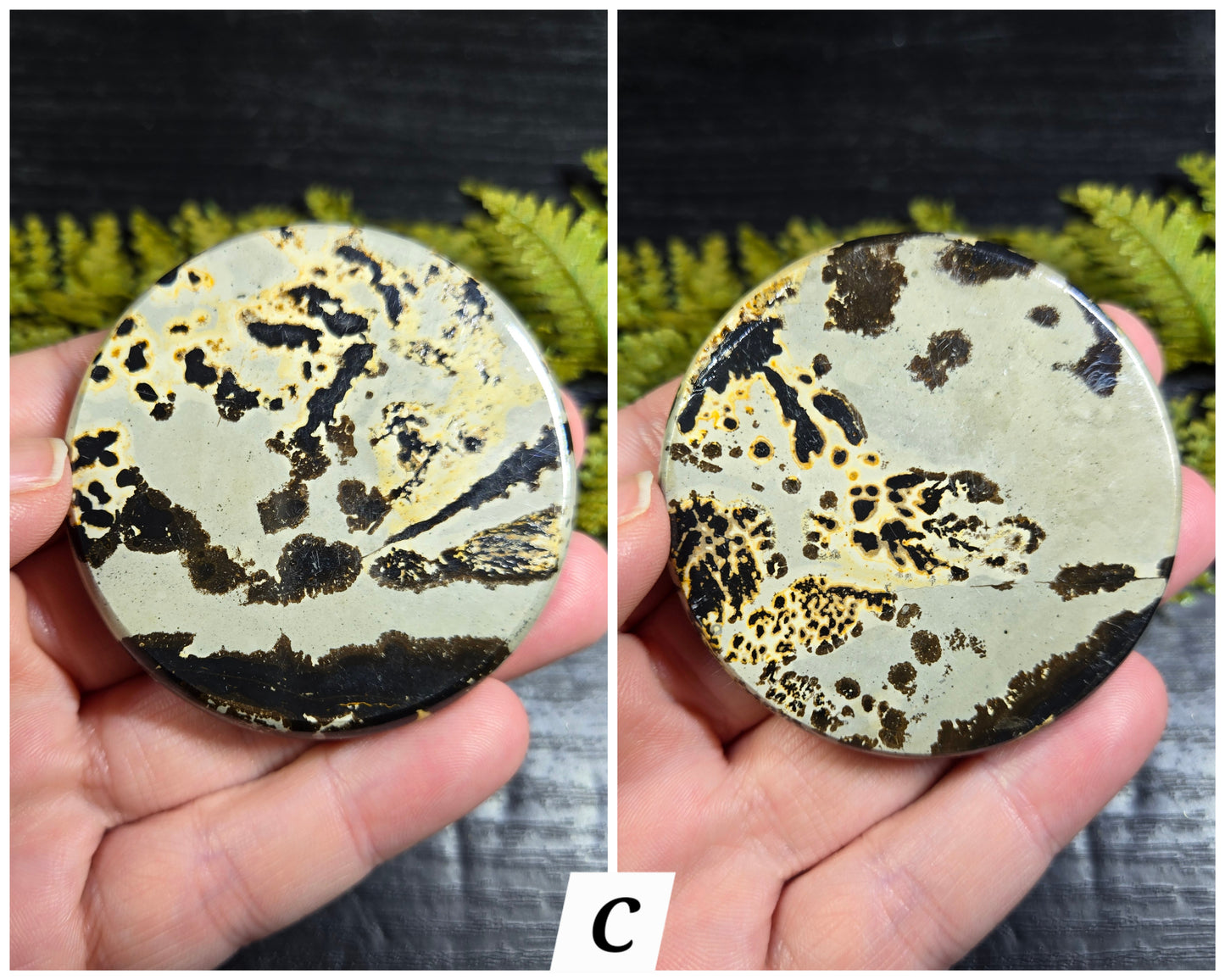 Picture Jasper Small Disks
