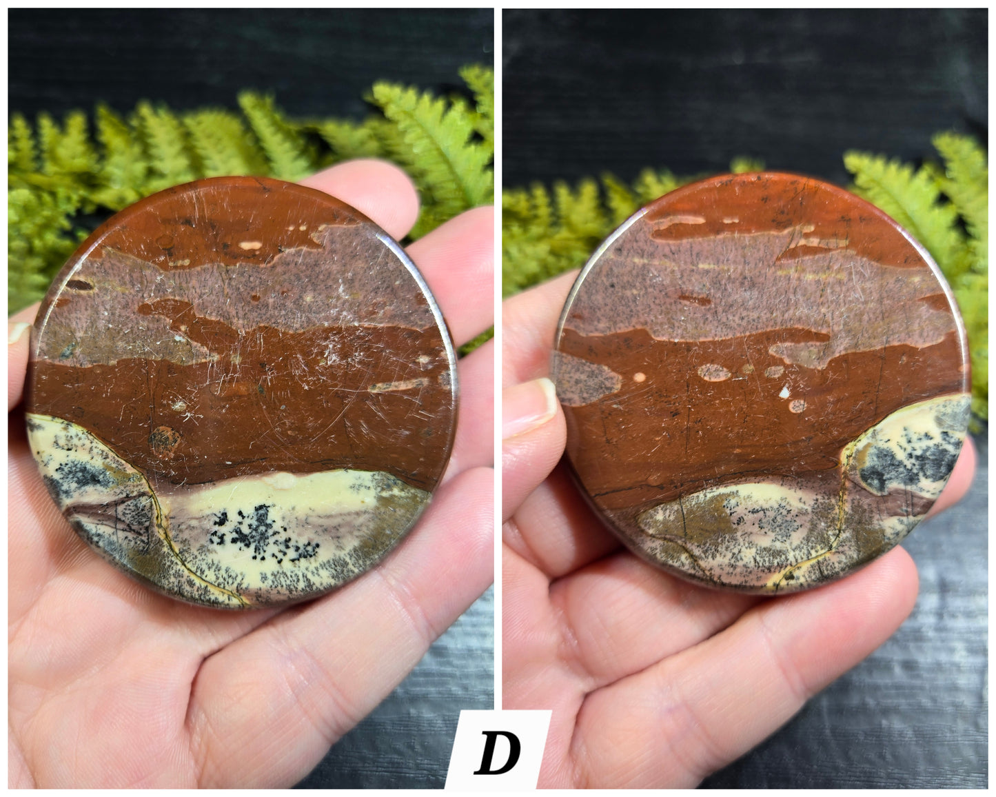 Picture Jasper Small Disks