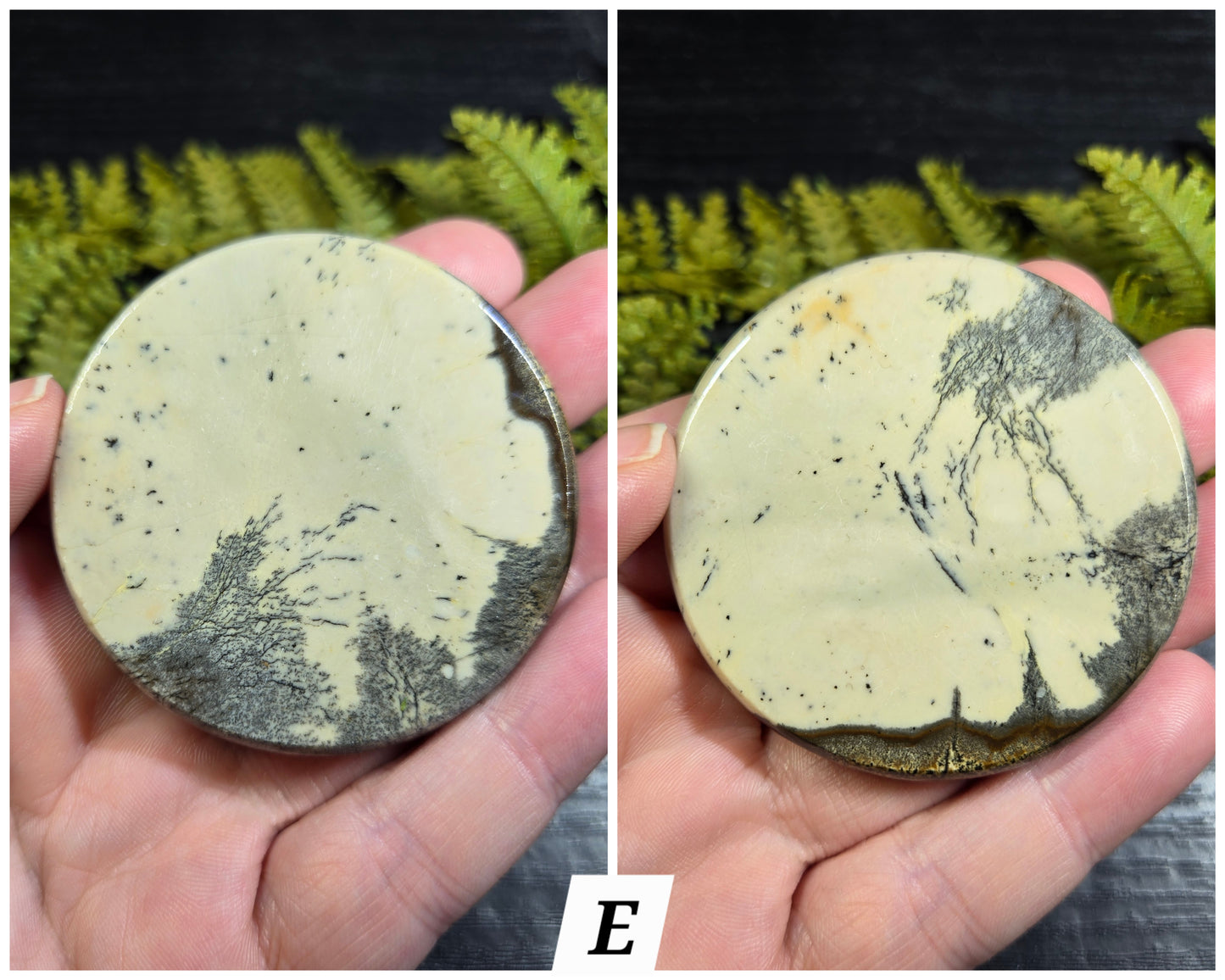 Picture Jasper Small Disks