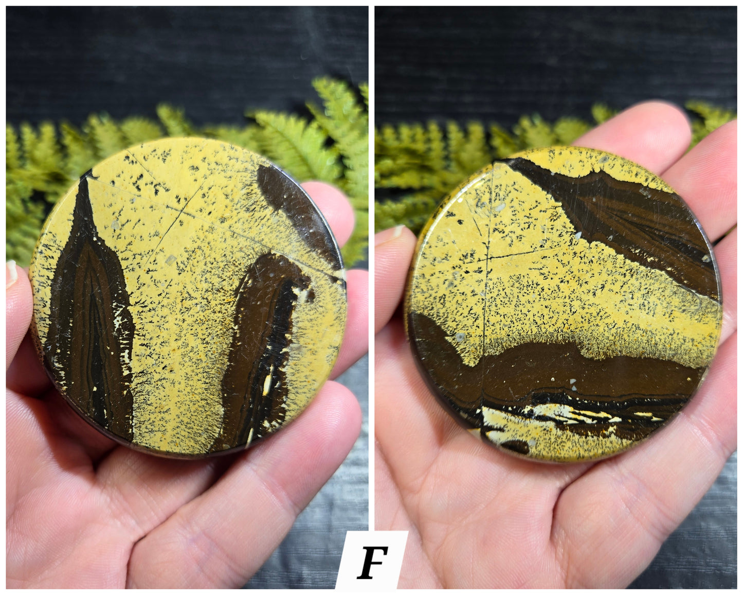 Picture Jasper Small Disks