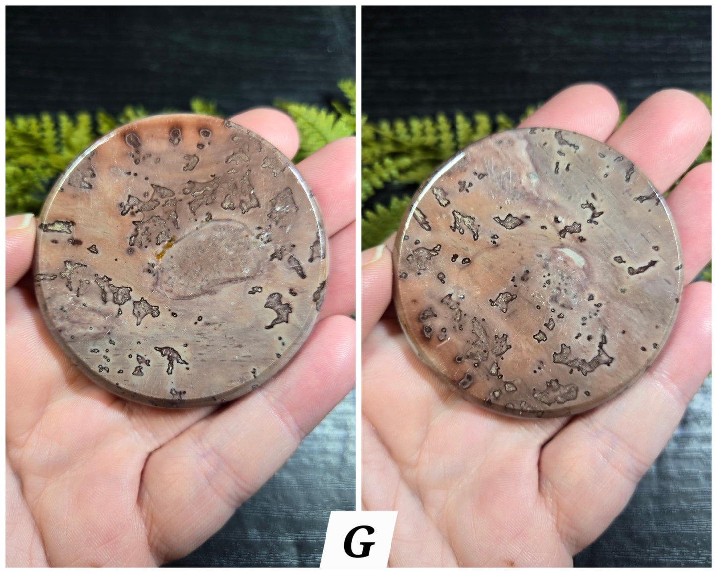 Picture Jasper Small Disks