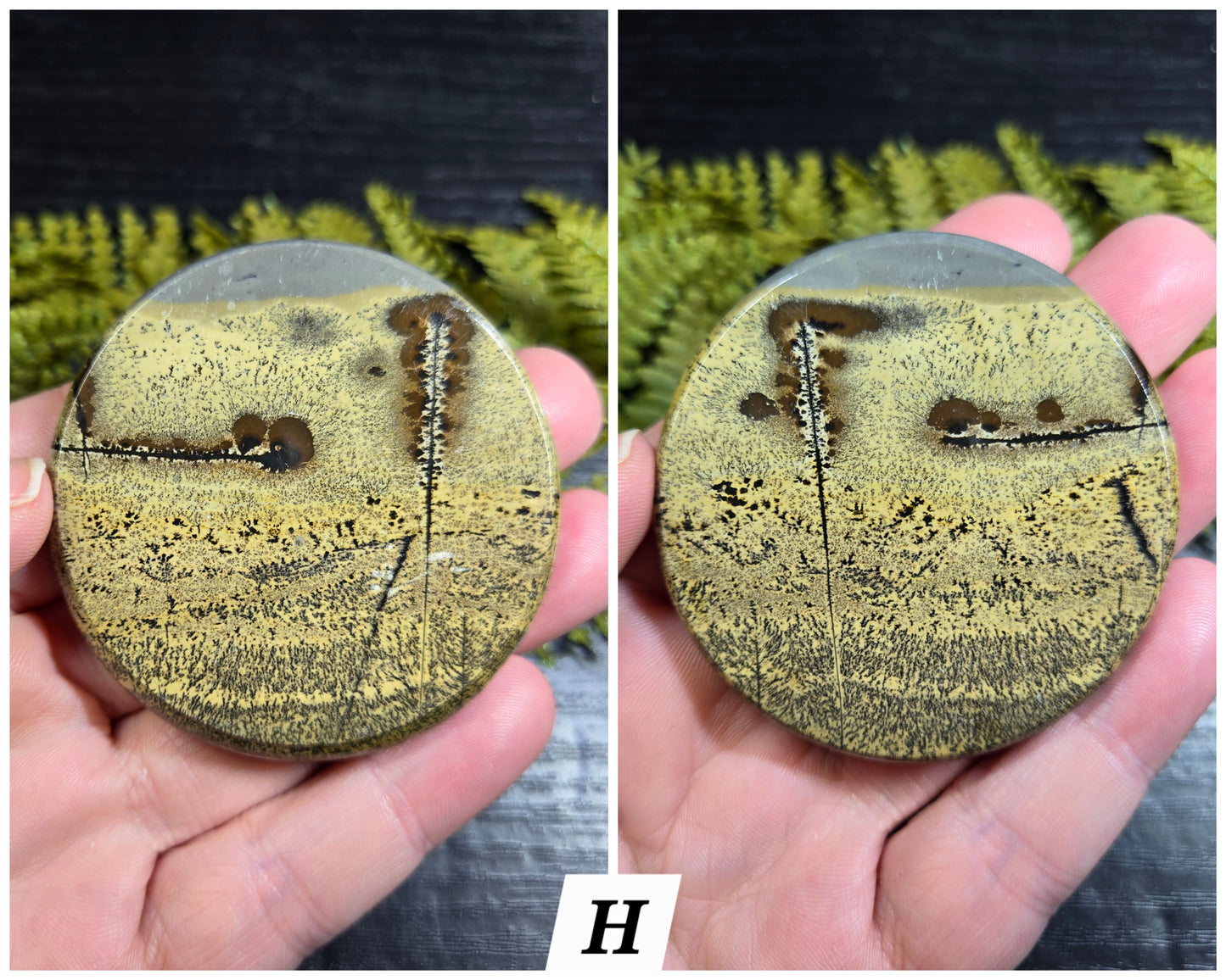 Picture Jasper Small Disks