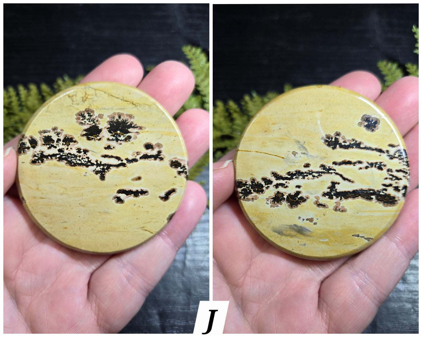 Picture Jasper Small Disks