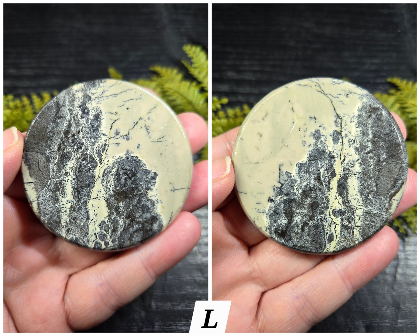 Picture Jasper Small Disks