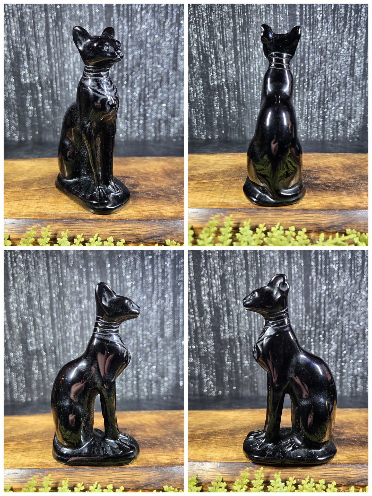 Large Egyptian / Sphynx Cats