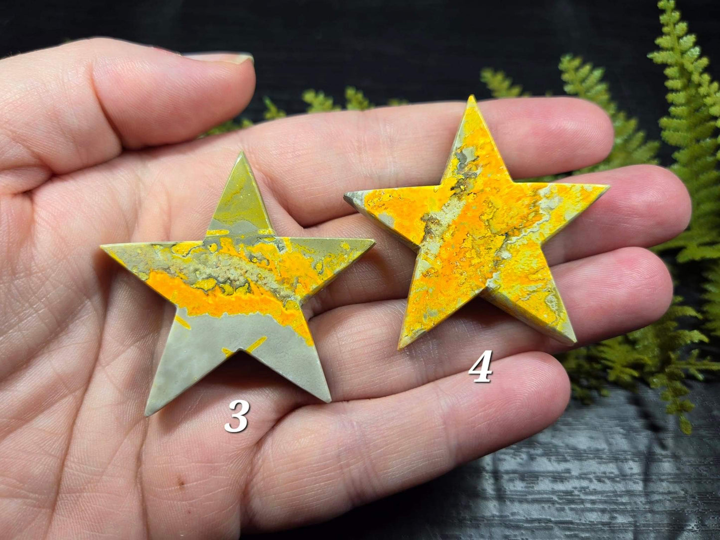 Bumblebee Jasper Stars