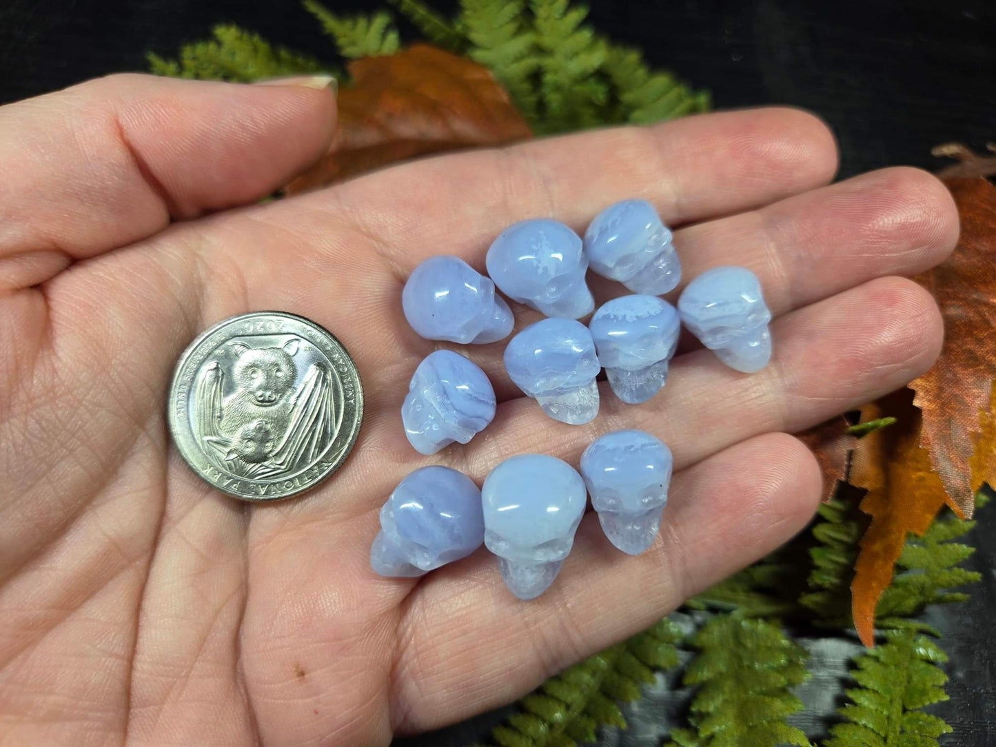 Micro Blue Lace Agate Skulls