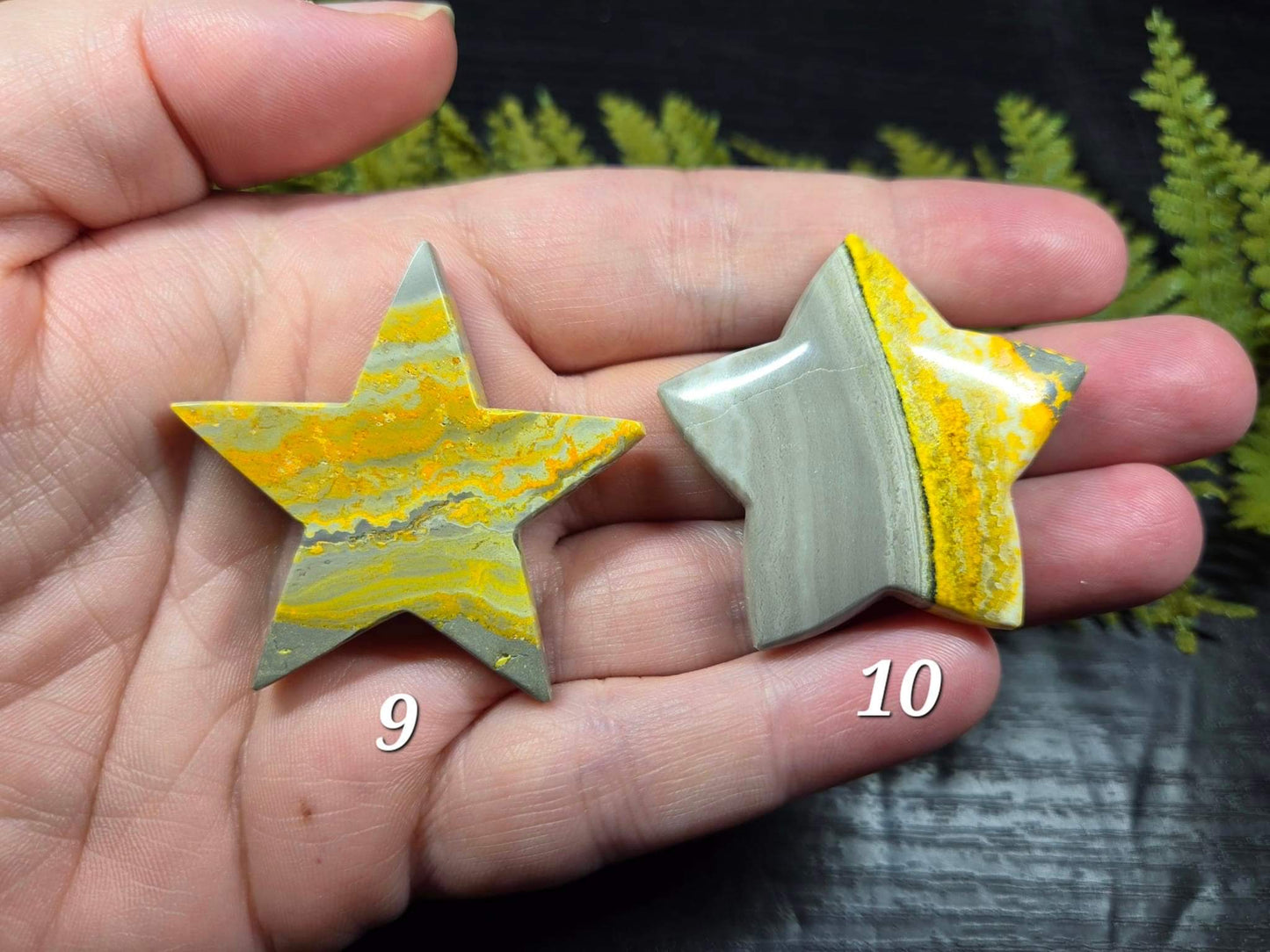 Bumblebee Jasper Stars