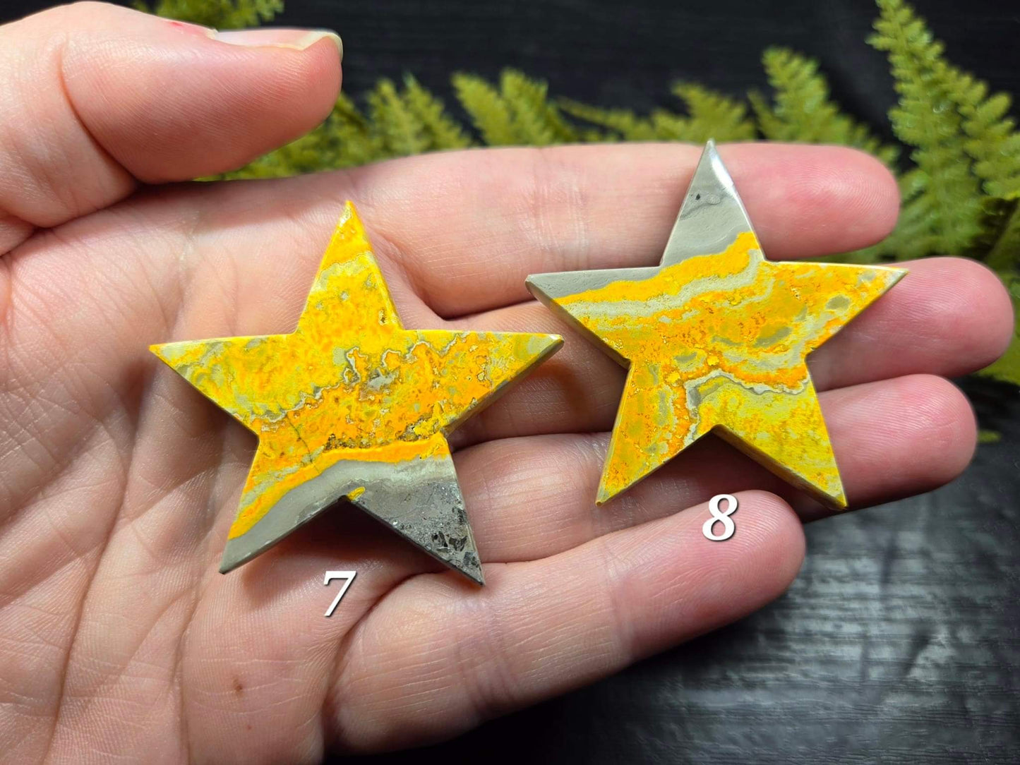 Bumblebee Jasper Stars