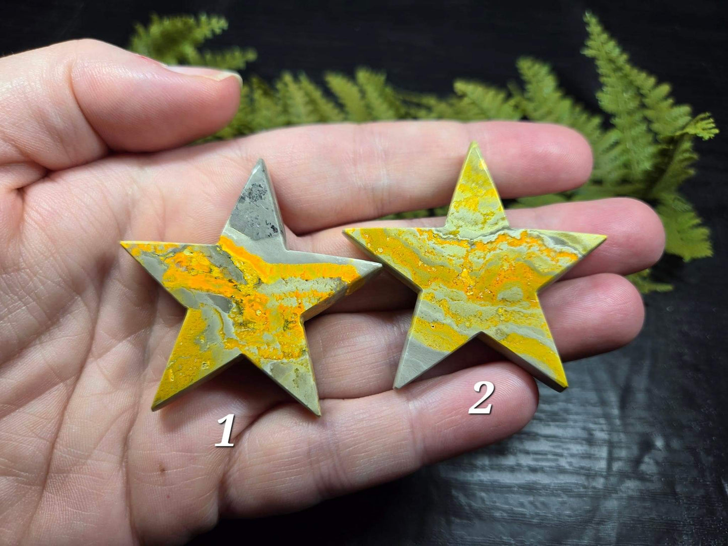 Bumblebee Jasper Stars
