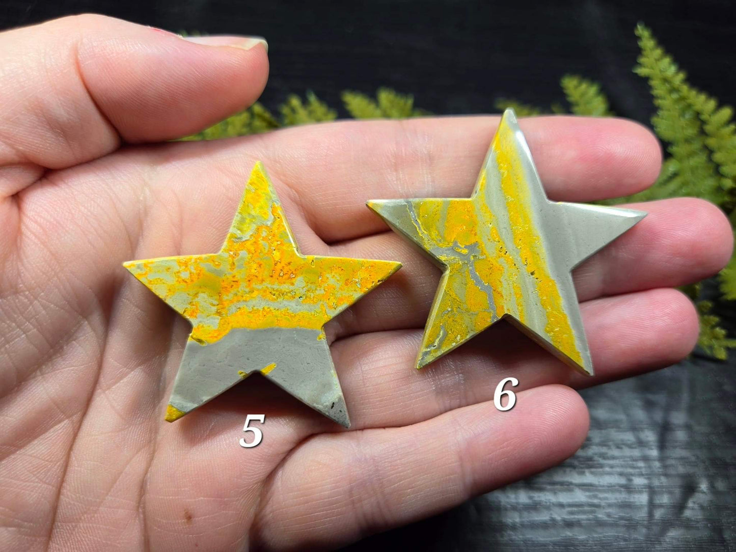 Bumblebee Jasper Stars