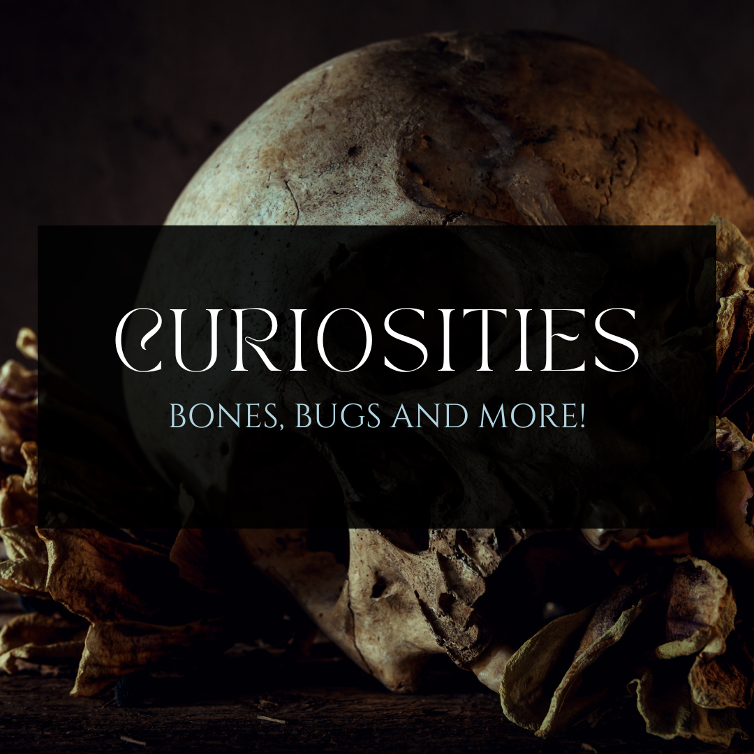 Curiosities