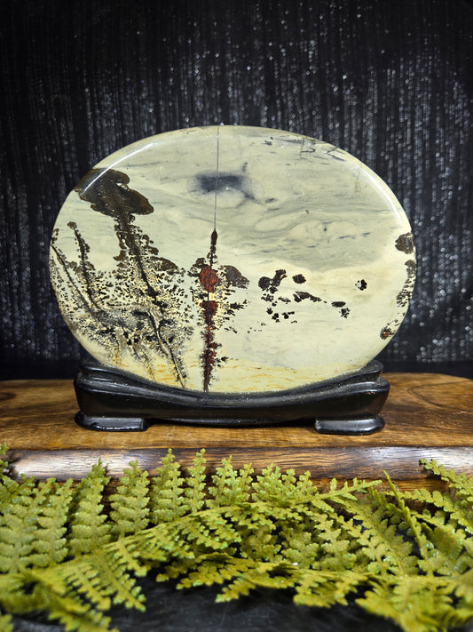 Picture Jasper with Custom Stand