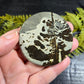Picture Jasper Small Disks