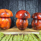 Carnelian Mushrooms