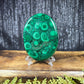 Malachite Palm - XL, AAA Grade